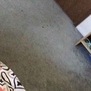 Meet your Posher, Dana